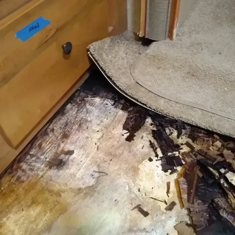 Wood Floor Water Damage in Callahan, FL